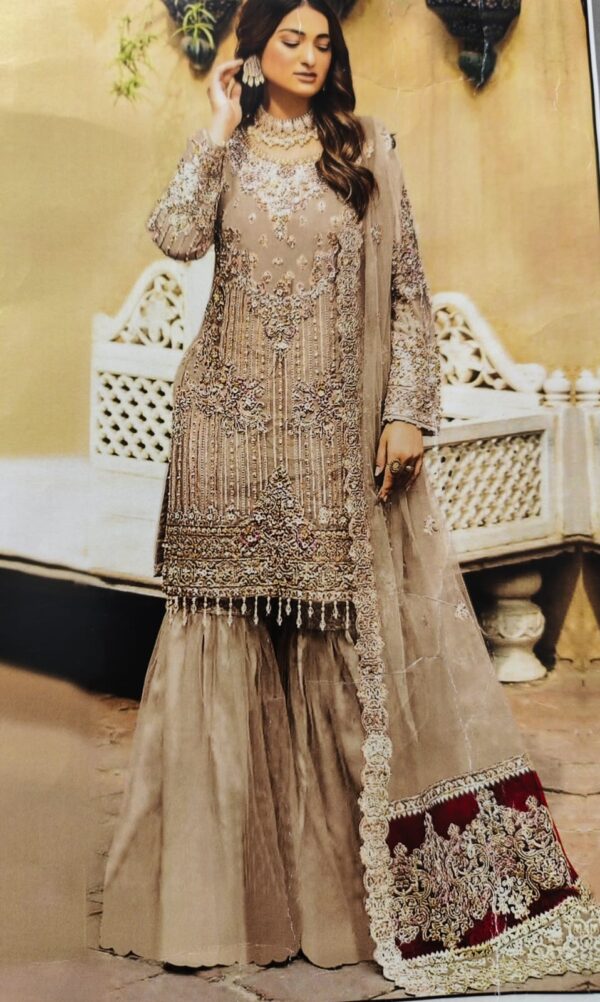 Organza Fancy Dress